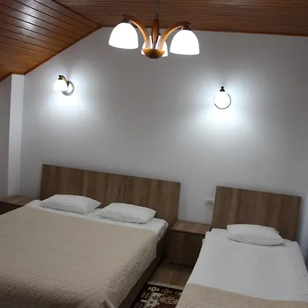Holiday home Maramures Landscape Moisei