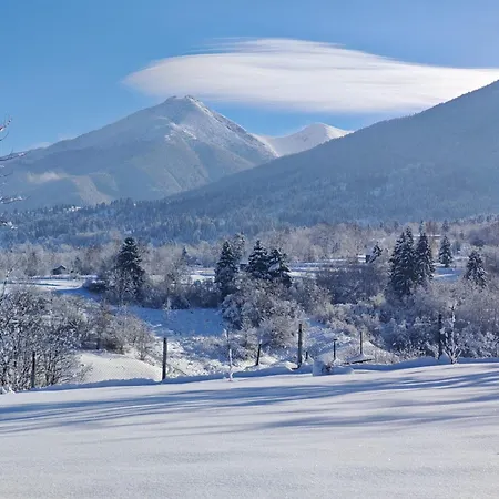 Maramures Landscape Holiday home *